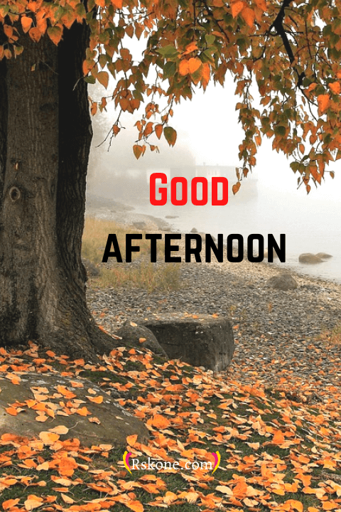good afternoon images 014