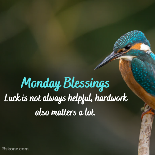 Monday Blessings Bird Image