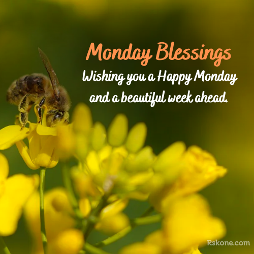 Happy Monday Blessings Wish Photo
