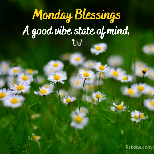 Monday Good Vibe Blessings Image