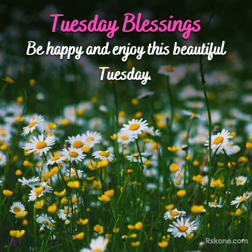 tuesday blessings images 12