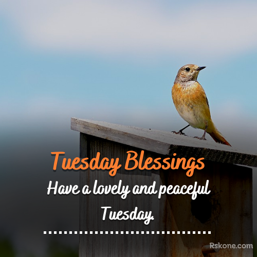 tuesday blessings images 14