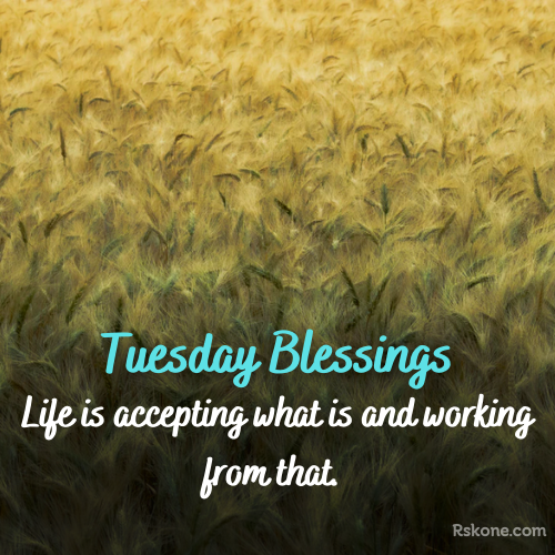 tuesday blessings images 17