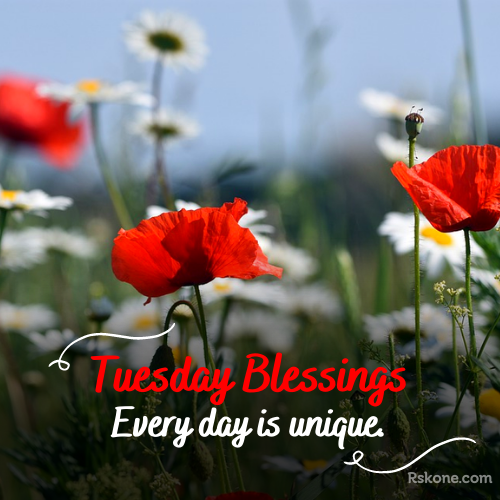 tuesday blessings images 21