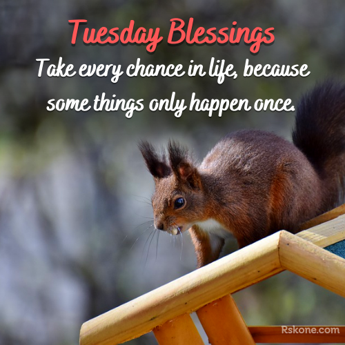 tuesday blessings images 35