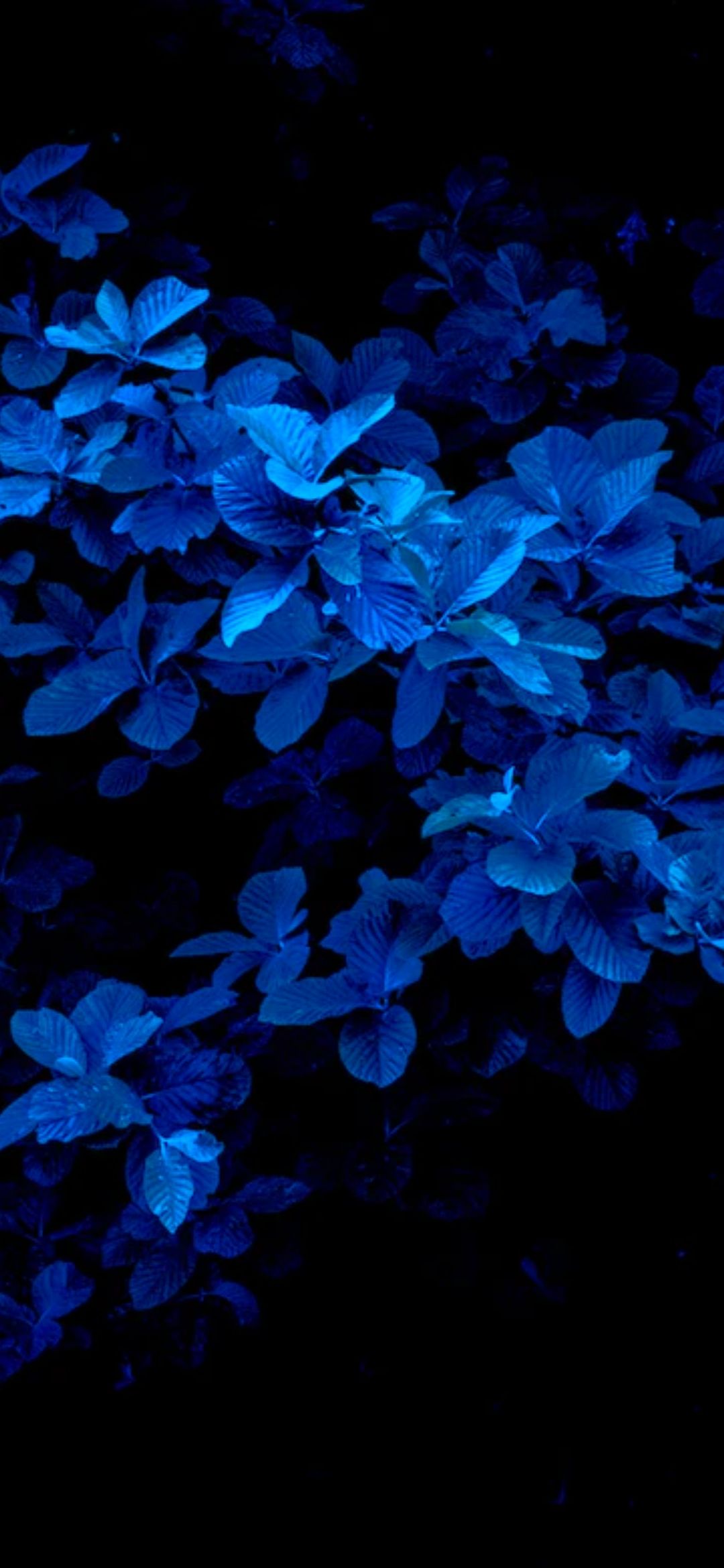 Blue Wallpaper 18