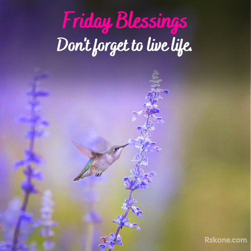 Friday Blessings Images 42