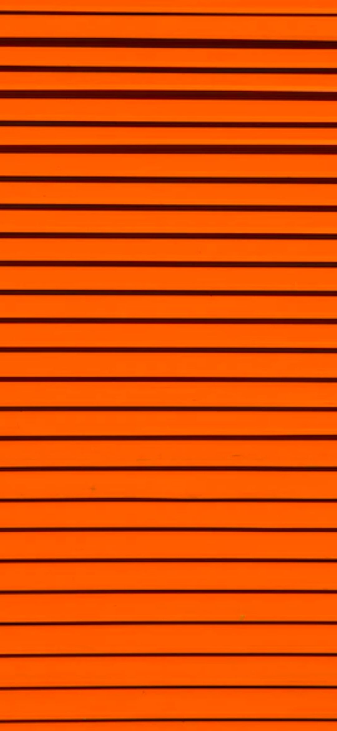 Orange Wallpaper 11