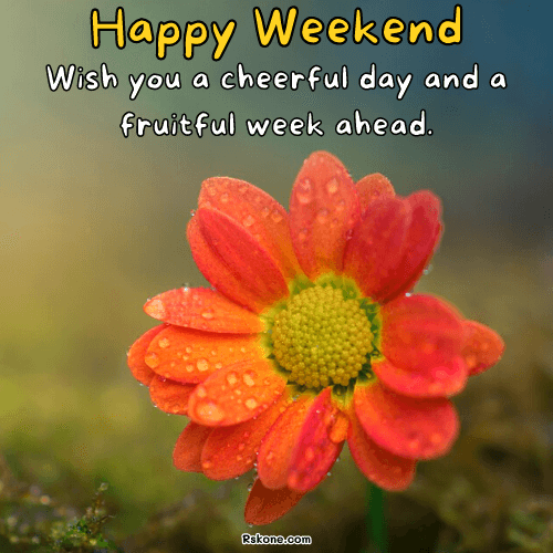 cheerful wish for weekend pic