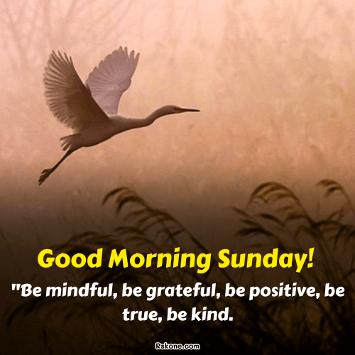 Good Morning Positive Sunday Image 5