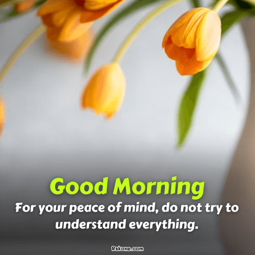 Good Morning Saturday Peace Image 7