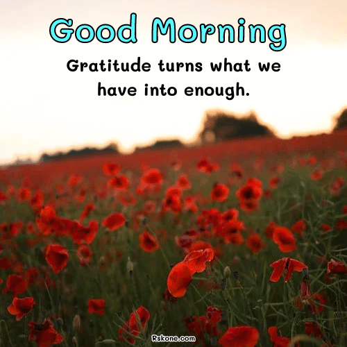 Good Morning Sunday Gratitude Quote Pic 13