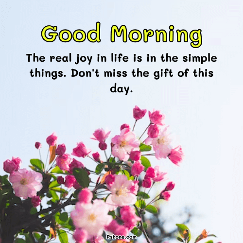 Good Morning Thursday Joy Quote Pic 14