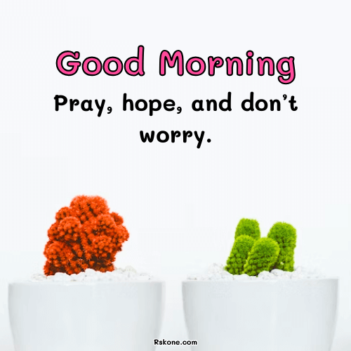 Good Morning Thursday Pray Image 19