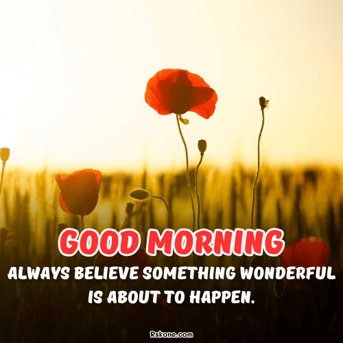 Good Morning Tuesday Believe Image 35