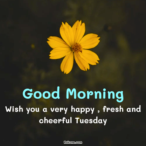 Good Morning Tuesday Wish Image 7