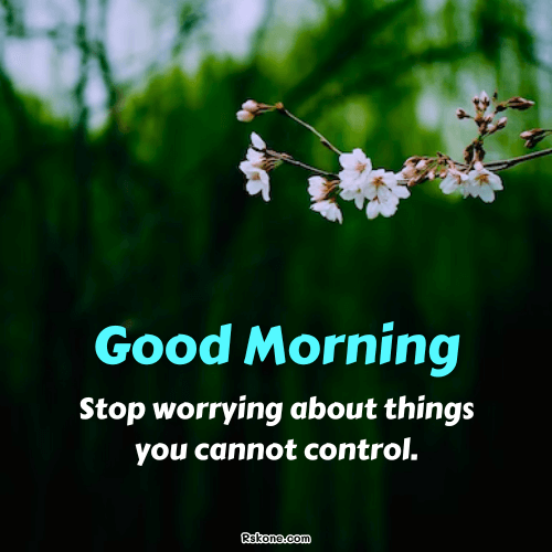 Stop Worrying Friday Wish Image 35
