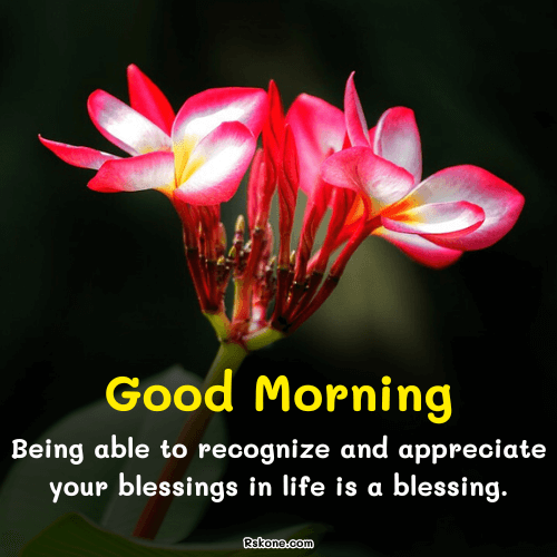 Good Morning Blessings Image 2