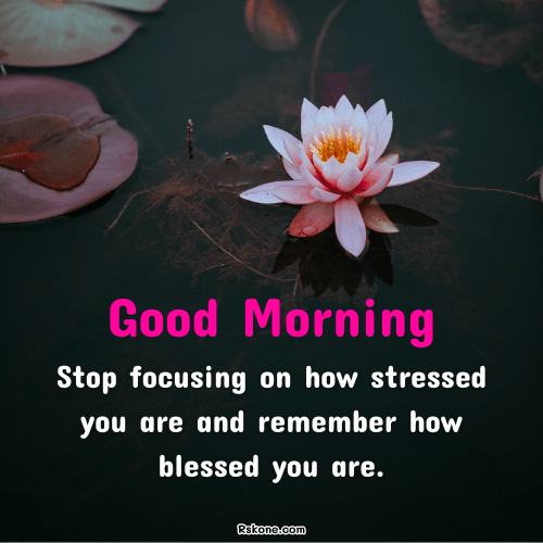 Good Morning Pink Lotus Blessings Image 49