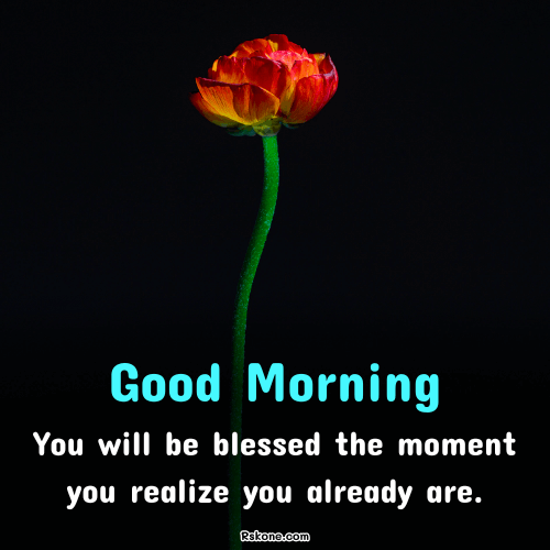 Good Morning Red Flower Blessings Image 11