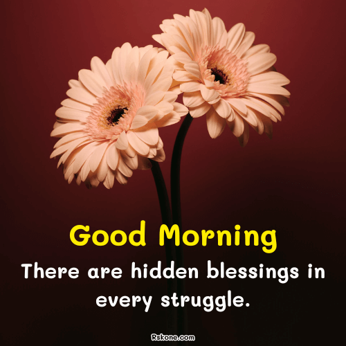 Good Morning Struggle Blessings Image 18