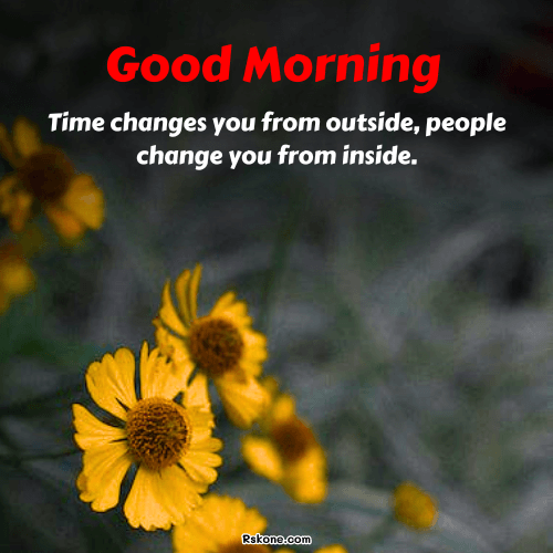 Good Morning Sunday Sunflowers Image 42