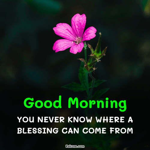 Good Morning Unique Blessings Image 47