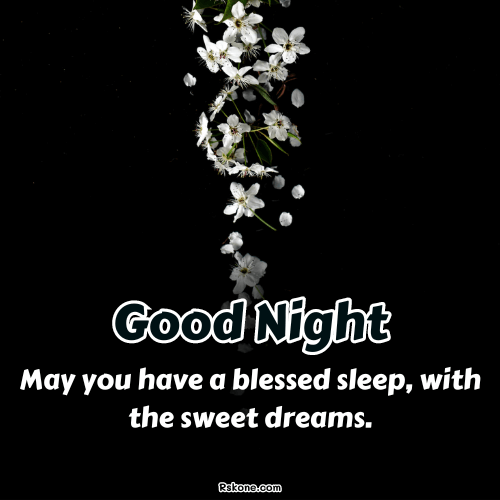 Good Night Blessed Sleep Blessings Image 28