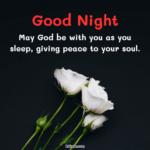 110+ New Good Night Blessings Images » Rskone.com