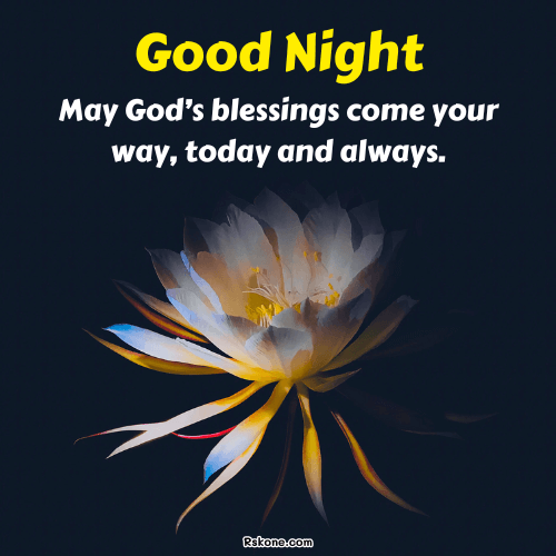 Good Night Blessings Image Hd 39