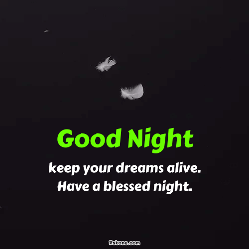 Good Night Dreams Blessings Image 30