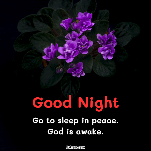 Good Night Peace Sleep Blessings Image 18