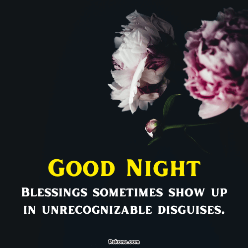 Good Night Pink Flower Blessings Image 44