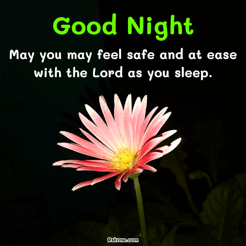 Good Night Safe Blessings Image 45