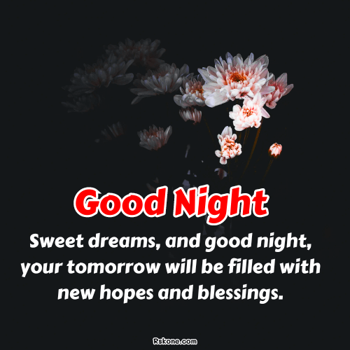 Good Night Sweet Dreams Blessings Image 21
