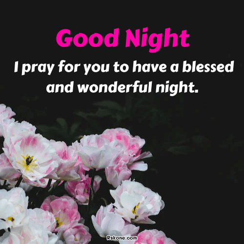 Good Night Wonderful Blessings Image 38