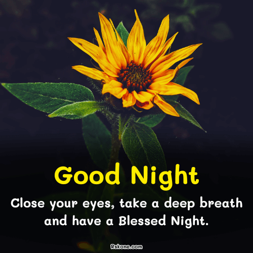 New Good Night Blessings Image 3