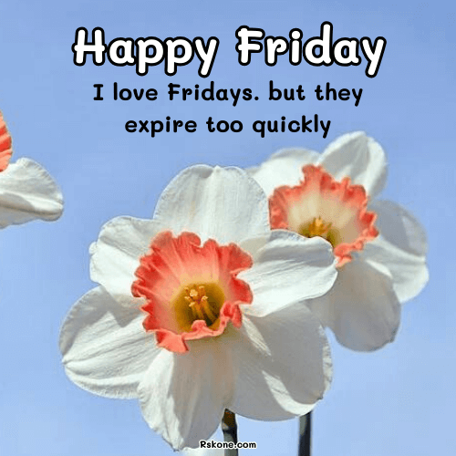 Happy Friday Images 9