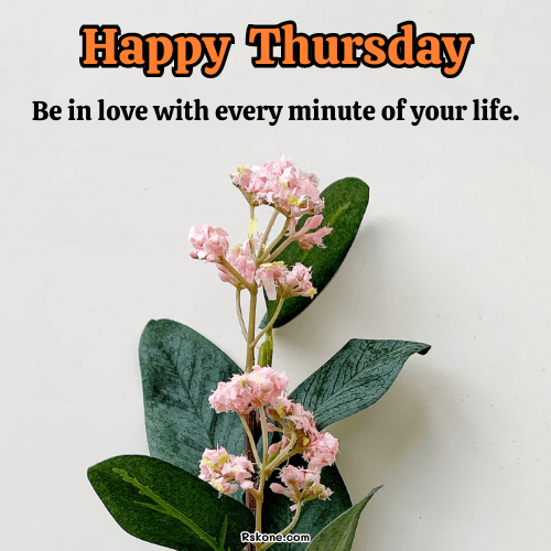 Happy Thursday Images 42