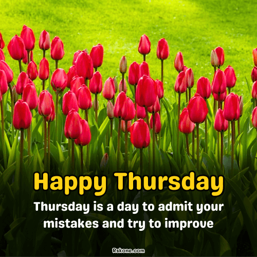 Happy Thursday Images 48