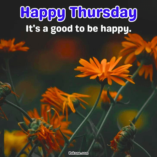 Happy Thursday Images 5