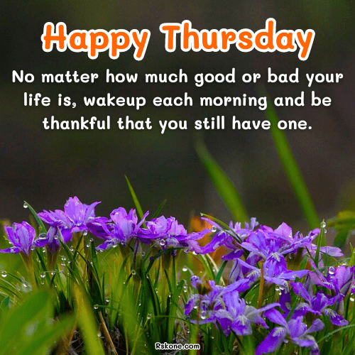 Happy Thursday Images 6