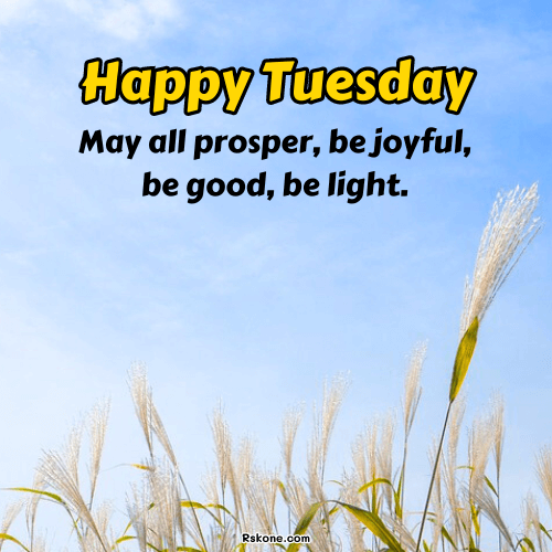 Happy Tuesday Images 13