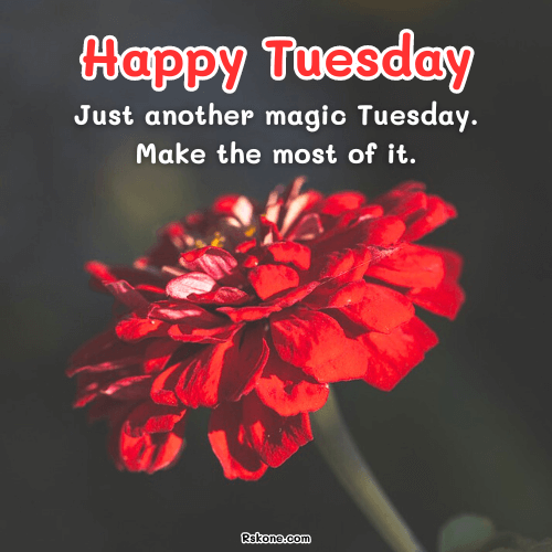 Happy Tuesday Images 15