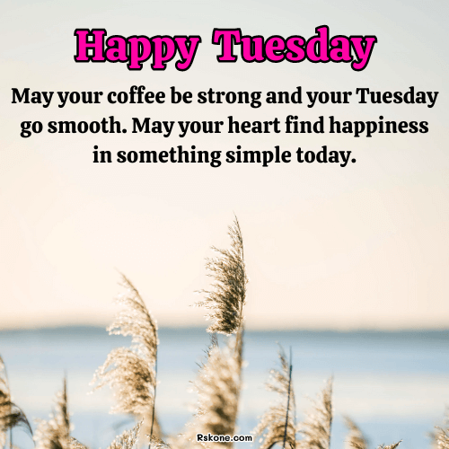 Happy Tuesday Images 17