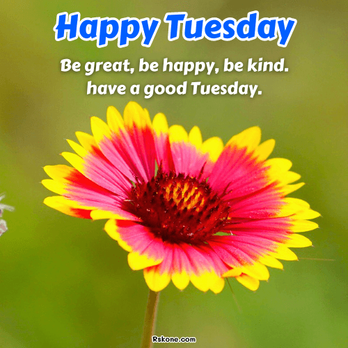 Happy Tuesday Images 18