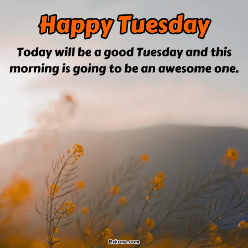 Happy Tuesday Images 19
