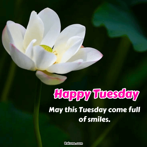 Happy Tuesday Images 20