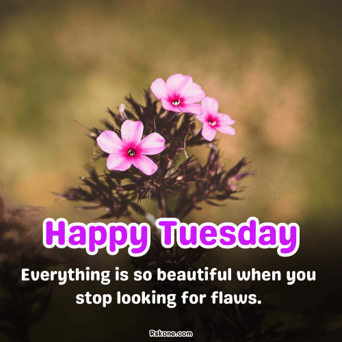 Happy Tuesday Images 22