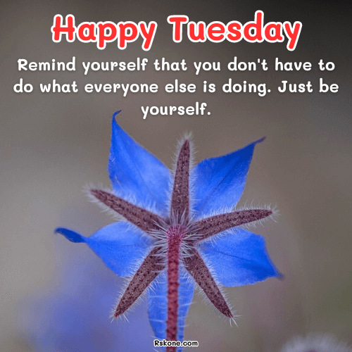 Happy Tuesday Images 23